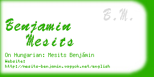 benjamin mesits business card
