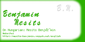 benjamin mesits business card